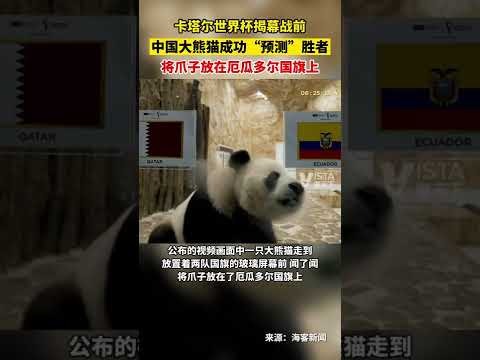开云,体育,资讯,开云365,KaiYun365,开云365体育官网,开云365官网,开云365体育下载